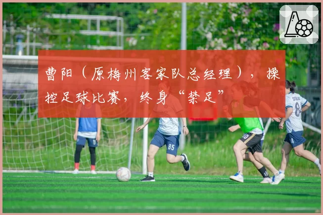 曹阳（原梅州客家队总经理），操控足球比赛，终身“禁足”