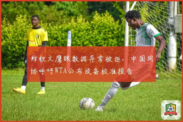 郑钦文鹰眼数据异常被拒，中国网协呼吁WTA公布设备校准报告